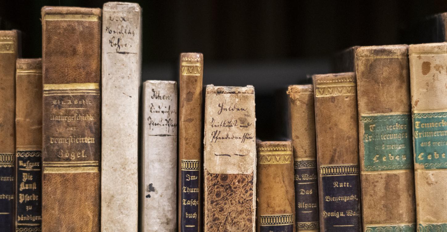 Alte Bücher im Lager, Buchrücken